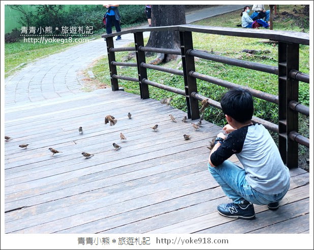 台南景點》巴克禮公園.台南市區秋冬最美的落羽松公園 @青青小熊*旅遊札記 台南景點》巴克禮公園.台南市區秋冬最美的落羽松公園 @青青小熊*旅遊札記