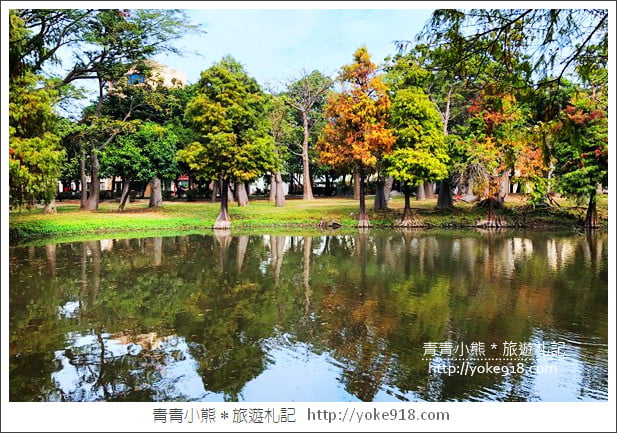 台南景點》巴克禮公園.台南市區秋冬最美的落羽松公園 @青青小熊*旅遊札記 台南景點》巴克禮公園.台南市區秋冬最美的落羽松公園 @青青小熊*旅遊札記