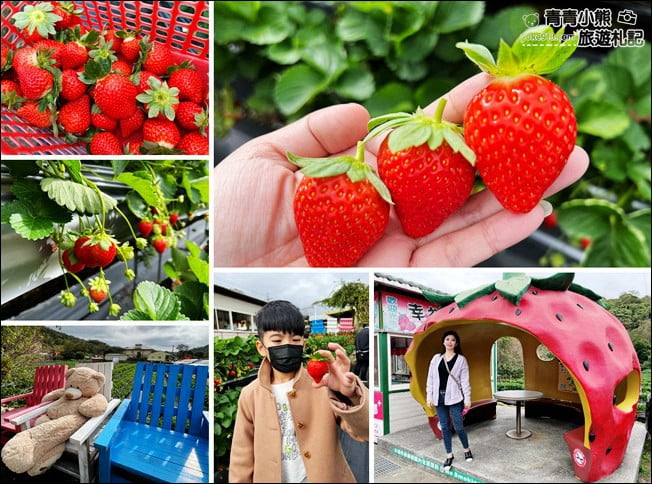 苗栗景點》幸福菓子高架草莓園.大湖草莓園推薦~高架草莓這裡採 @青青小熊*旅遊札記 苗栗景點》幸福菓子高架草莓園.大湖草莓園推薦~高架草莓這裡採 @青青小熊*旅遊札記