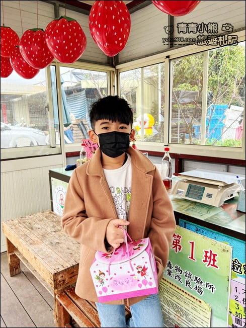 苗栗景點》幸福菓子高架草莓園．大湖草莓園推薦~高架草莓這裡採 @青青小熊＊旅遊札記