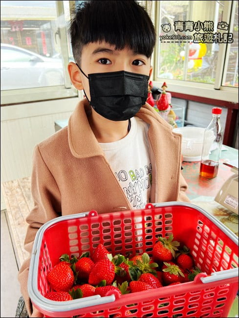 苗栗景點》幸福菓子高架草莓園.大湖草莓園推薦~高架草莓這裡採 @青青小熊*旅遊札記 苗栗景點》幸福菓子高架草莓園.大湖草莓園推薦~高架草莓這裡採 @青青小熊*旅遊札記