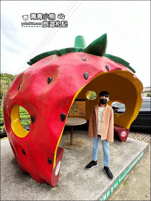 苗栗景點》幸福菓子高架草莓園.大湖草莓園推薦~高架草莓這裡採 @青青小熊*旅遊札記 苗栗景點》幸福菓子高架草莓園.大湖草莓園推薦~高架草莓這裡採 @青青小熊*旅遊札記
