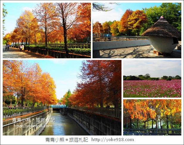 雲林景點》農田水利文物陳列館落羽松．火紅落羽松等你賞(預計12月底是最佳觀賞期) @青青小熊＊旅遊札記