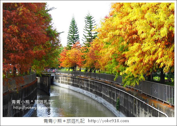 雲林景點》農田水利文物陳列館落羽松．火紅落羽松等你賞(預計12月底是最佳觀賞期) @青青小熊＊旅遊札記