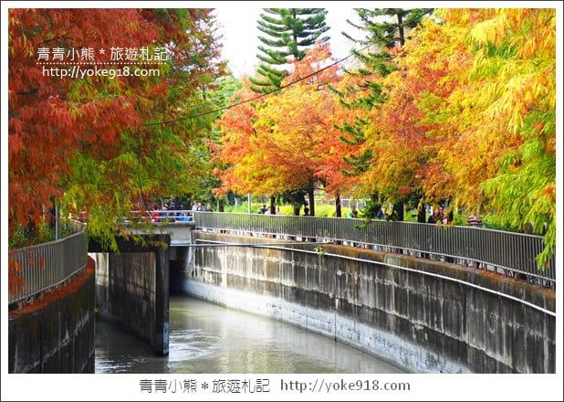 雲林景點》農田水利文物陳列館落羽松．火紅落羽松等你賞(預計12月底是最佳觀賞期) @青青小熊＊旅遊札記