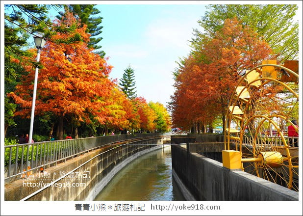 雲林景點》農田水利文物陳列館落羽松．火紅落羽松等你賞(預計12月底是最佳觀賞期) @青青小熊＊旅遊札記