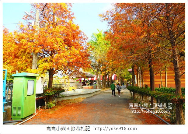 雲林景點》農田水利文物陳列館落羽松．火紅落羽松等你賞(預計12月底是最佳觀賞期) @青青小熊＊旅遊札記
