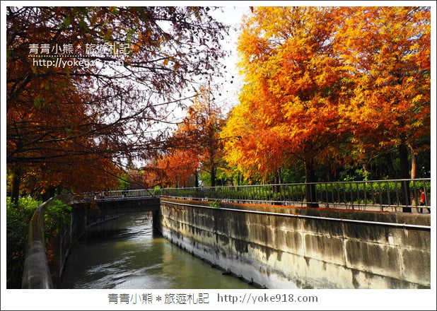 雲林景點》農田水利文物陳列館落羽松．火紅落羽松等你賞(預計12月底是最佳觀賞期) @青青小熊＊旅遊札記