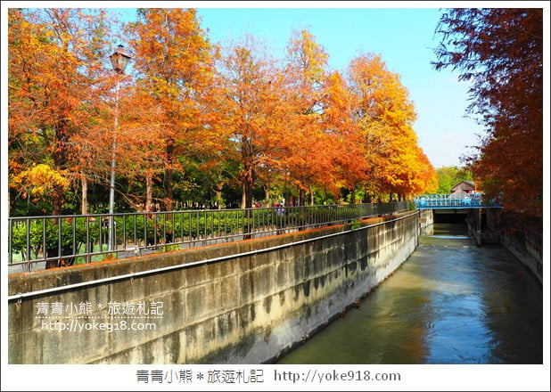 雲林景點》農田水利文物陳列館落羽松．火紅落羽松等你賞(預計12月底是最佳觀賞期) @青青小熊＊旅遊札記