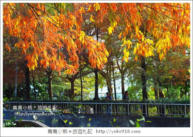雲林景點》農田水利文物陳列館落羽松．火紅落羽松等你賞(預計12月底是最佳觀賞期) @青青小熊＊旅遊札記