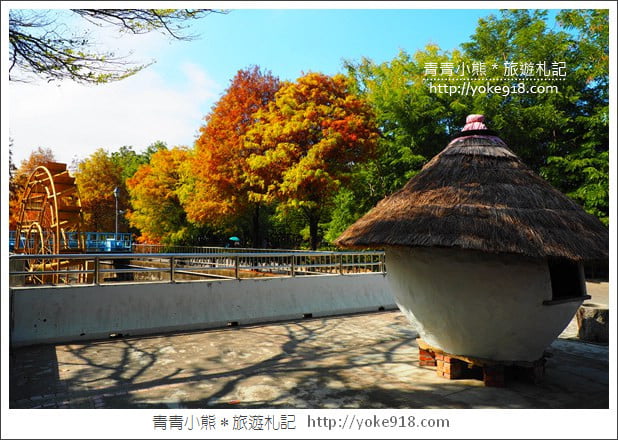 雲林景點》農田水利文物陳列館落羽松．火紅落羽松等你賞(預計12月底是最佳觀賞期) @青青小熊＊旅遊札記