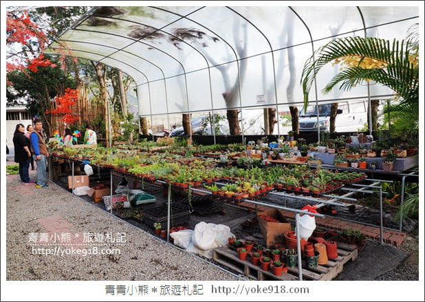 南投埔里景點》多肉秘境.小熊泡泡屋 大星球~多肉植物的夢幻園地 @青青小熊*旅遊札記 南投埔里景點》多肉秘境.小熊泡泡屋 大星球~多肉植物的夢幻園地 @青青小熊*旅遊札記