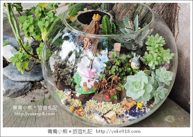 南投埔里景點》多肉秘境.小熊泡泡屋 大星球~多肉植物的夢幻園地 @青青小熊*旅遊札記 南投埔里景點》多肉秘境.小熊泡泡屋 大星球~多肉植物的夢幻園地 @青青小熊*旅遊札記