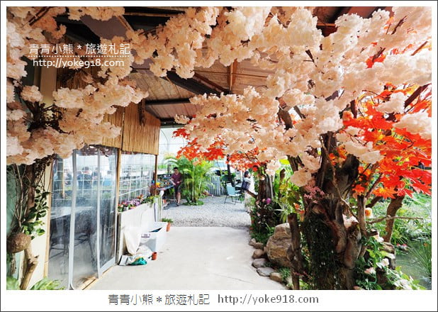 南投埔里景點》多肉秘境.小熊泡泡屋 大星球~多肉植物的夢幻園地 @青青小熊*旅遊札記 南投埔里景點》多肉秘境.小熊泡泡屋 大星球~多肉植物的夢幻園地 @青青小熊*旅遊札記