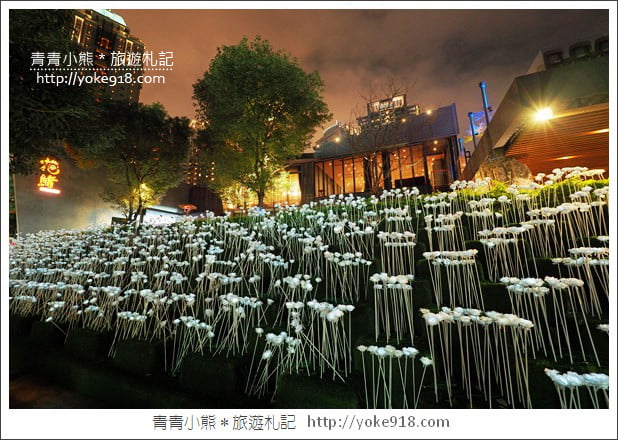 台中餐廳》花鮨日式餐廳.燒肉火鍋日式料理~一起漫步在白色玫瑰花海 @青青小熊*旅遊札記 台中餐廳》花鮨日式餐廳.燒肉火鍋日式料理~一起漫步在白色玫瑰花海 @青青小熊*旅遊札記