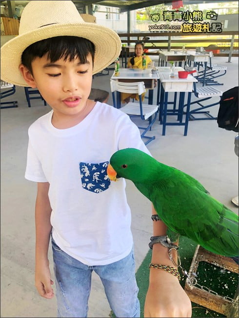 宜蘭新景點》心花鹿Fun(宜鹿發)．宜蘭親子景點~超可愛羊駝.駱馬.小鹿陪你趴趴走 @青青小熊＊旅遊札記
