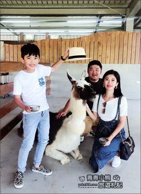 宜蘭新景點》心花鹿Fun(宜鹿發)．宜蘭親子景點~超可愛羊駝.駱馬.小鹿陪你趴趴走 @青青小熊＊旅遊札記