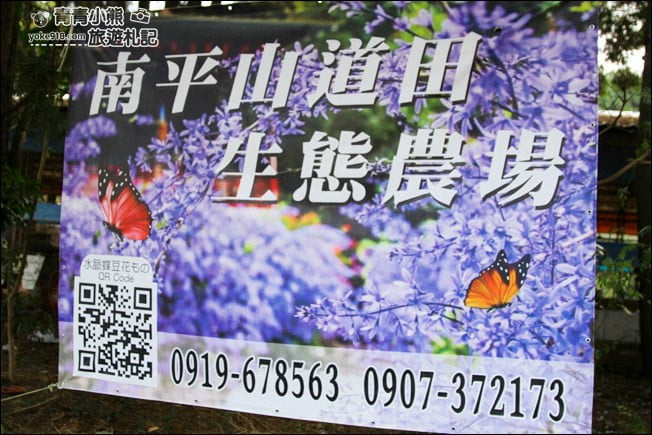 南投景點》南平山道田生態農場.埔里錫葉藤盛開中~浪漫紫花景點 @青青小熊*旅遊札記 南投景點》南平山道田生態農場.埔里錫葉藤盛開中~浪漫紫花景點 @青青小熊*旅遊札記