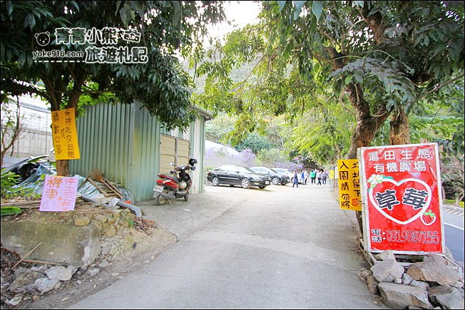 南投景點》南平山道田生態農場．埔里錫葉藤盛開中~浪漫紫花景點 @青青小熊＊旅遊札記