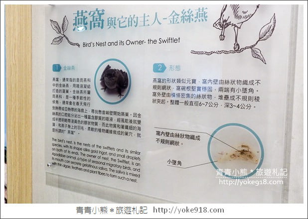 台南景點》新百祿燕窩觀光工廠．免門票親子景點~帶小朋友來認識燕窩 @青青小熊＊旅遊札記