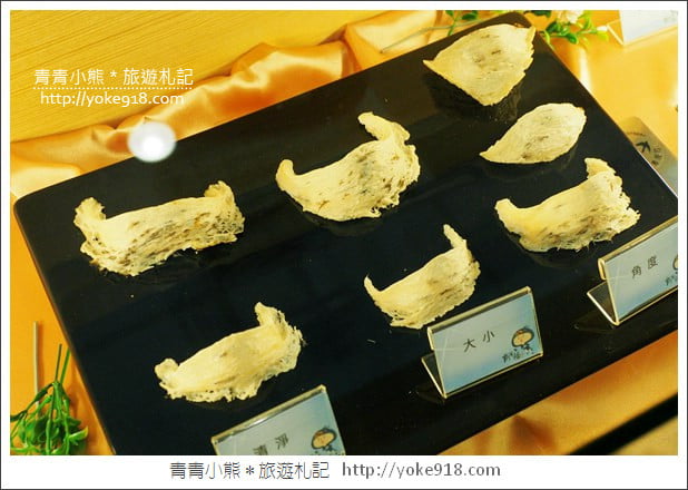 台南景點》新百祿燕窩觀光工廠.免門票親子景點~帶小朋友來認識燕窩 @青青小熊*旅遊札記 台南景點》新百祿燕窩觀光工廠.免門票親子景點~帶小朋友來認識燕窩 @青青小熊*旅遊札記