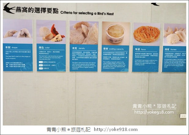 台南景點》新百祿燕窩觀光工廠.免門票親子景點~帶小朋友來認識燕窩 @青青小熊*旅遊札記 台南景點》新百祿燕窩觀光工廠.免門票親子景點~帶小朋友來認識燕窩 @青青小熊*旅遊札記