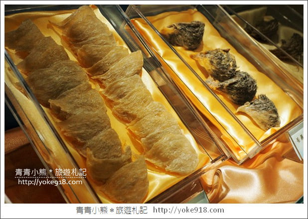 台南景點》新百祿燕窩觀光工廠．免門票親子景點~帶小朋友來認識燕窩 @青青小熊＊旅遊札記