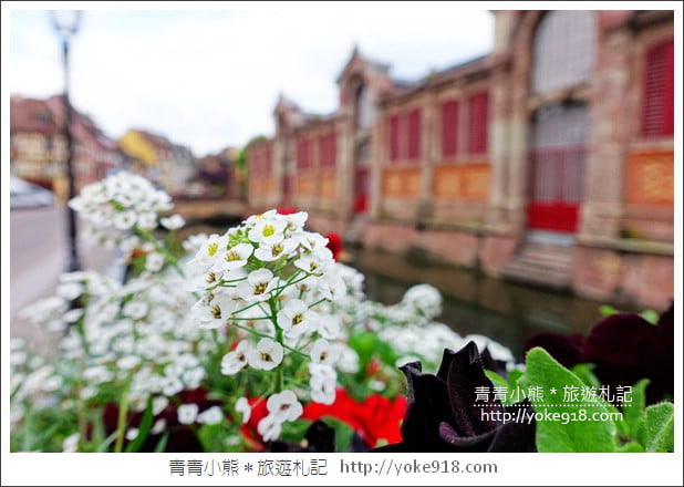 法國景點》科爾馬Colmar.童話小鎮~宮崎駿的霍爾移動城堡取景藍圖 @青青小熊*旅遊札記 法國景點》科爾馬Colmar.童話小鎮~宮崎駿的霍爾移動城堡取景藍圖 @青青小熊*旅遊札記