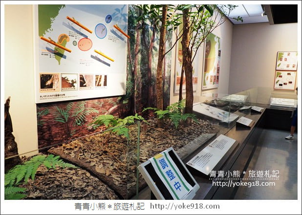 沖繩景點》沖繩縣立博物館・美術館~沖繩超美建築，親子同遊來這玩 @青青小熊＊旅遊札記