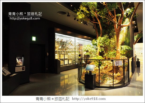 沖繩景點》沖繩縣立博物館・美術館~沖繩超美建築，親子同遊來這玩 @青青小熊＊旅遊札記