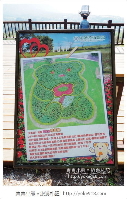 桃園大溪景點》大溪花海摩艾像出沒.超多拍照新亮點~約會好去處 @青青小熊*旅遊札記 桃園大溪景點》大溪花海摩艾像出沒.超多拍照新亮點~約會好去處 @青青小熊*旅遊札記