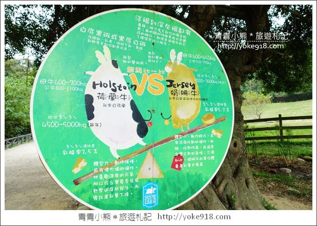 苗栗通霄景點》飛牛牧場‧親子同遊好去處~親近小動物一起散步去 @青青小熊＊旅遊札記