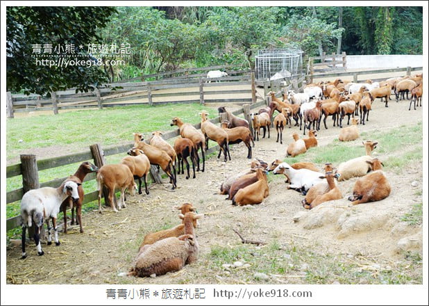 苗栗通霄景點》飛牛牧場‧親子同遊好去處~親近小動物一起散步去 @青青小熊*旅遊札記 苗栗通霄景點》飛牛牧場‧親子同遊好去處~親近小動物一起散步去 @青青小熊*旅遊札記