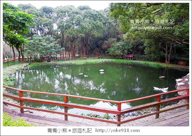苗栗通霄景點》飛牛牧場‧親子同遊好去處~親近小動物一起散步去 @青青小熊＊旅遊札記