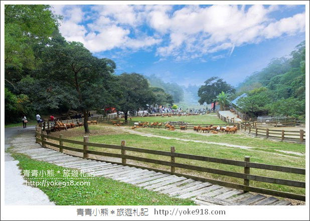 苗栗通霄景點》飛牛牧場‧親子同遊好去處~親近小動物一起散步去 @青青小熊＊旅遊札記