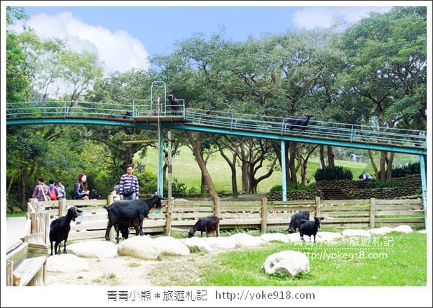 苗栗通霄景點》飛牛牧場‧親子同遊好去處~親近小動物一起散步去 @青青小熊*旅遊札記 苗栗通霄景點》飛牛牧場‧親子同遊好去處~親近小動物一起散步去 @青青小熊*旅遊札記