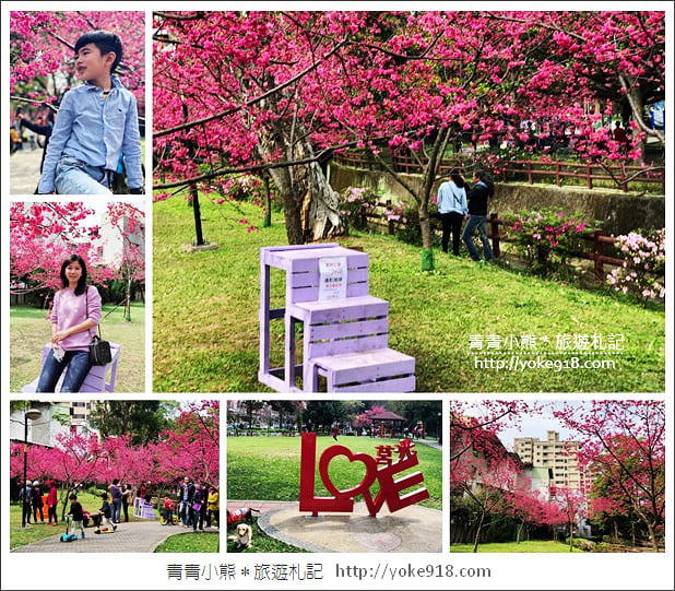 桃園景點》中壢莒光公園.八重櫻~超美櫻花景點來這賞 @青青小熊*旅遊札記 桃園景點》中壢莒光公園.八重櫻~超美櫻花景點來這賞 @青青小熊*旅遊札記