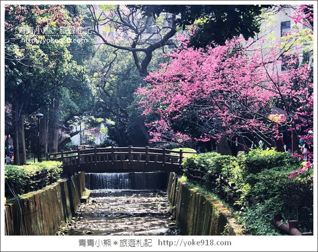 桃園景點》中壢莒光公園.八重櫻~超美櫻花景點來這賞 @青青小熊*旅遊札記 桃園景點》中壢莒光公園.八重櫻~超美櫻花景點來這賞 @青青小熊*旅遊札記