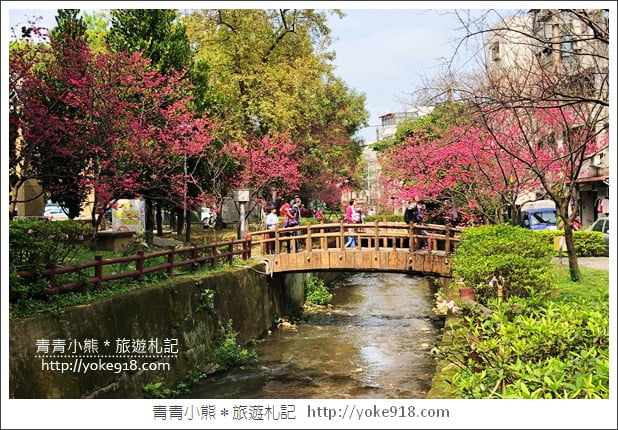 桃園景點》中壢莒光公園．八重櫻~超美櫻花景點來這賞 @青青小熊＊旅遊札記