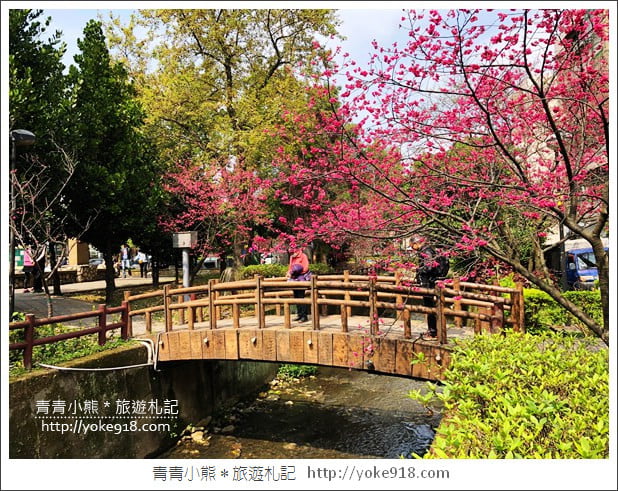 桃園景點》中壢莒光公園.八重櫻~超美櫻花景點來這賞 @青青小熊*旅遊札記 桃園景點》中壢莒光公園.八重櫻~超美櫻花景點來這賞 @青青小熊*旅遊札記