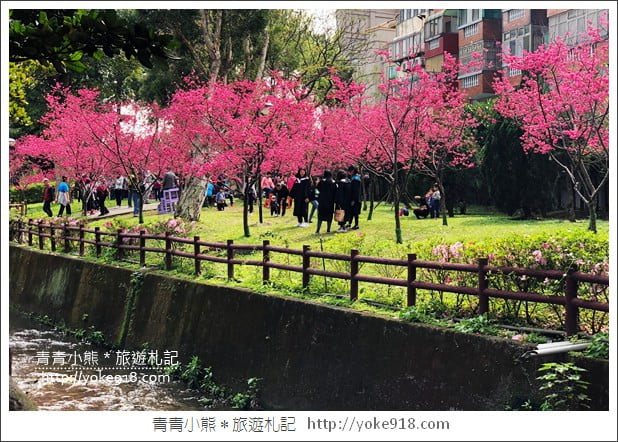 桃園景點》中壢莒光公園.八重櫻~超美櫻花景點來這賞 @青青小熊*旅遊札記 桃園景點》中壢莒光公園.八重櫻~超美櫻花景點來這賞 @青青小熊*旅遊札記