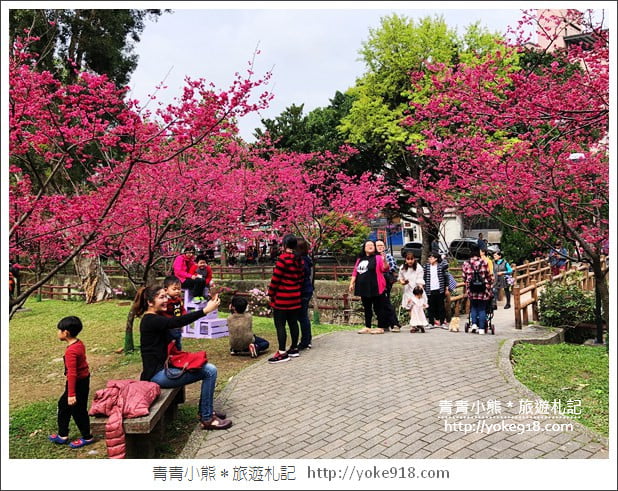 桃園景點》中壢莒光公園.八重櫻~超美櫻花景點來這賞 @青青小熊*旅遊札記 桃園景點》中壢莒光公園.八重櫻~超美櫻花景點來這賞 @青青小熊*旅遊札記