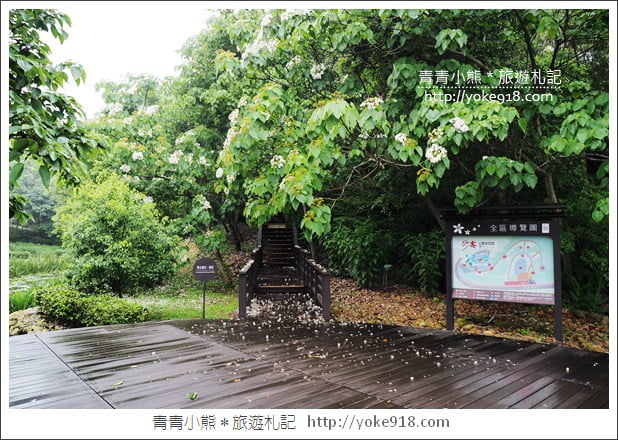 苗栗銅鑼景點》好客公園桐花綻放中.最美的四月雪~浪漫賞桐花去 @青青小熊*旅遊札記 苗栗銅鑼景點》好客公園桐花綻放中.最美的四月雪~浪漫賞桐花去 @青青小熊*旅遊札記