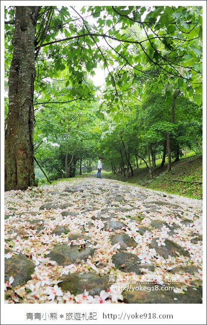 苗栗銅鑼景點》好客公園桐花綻放中.最美的四月雪~浪漫賞桐花去 @青青小熊*旅遊札記 苗栗銅鑼景點》好客公園桐花綻放中.最美的四月雪~浪漫賞桐花去 @青青小熊*旅遊札記