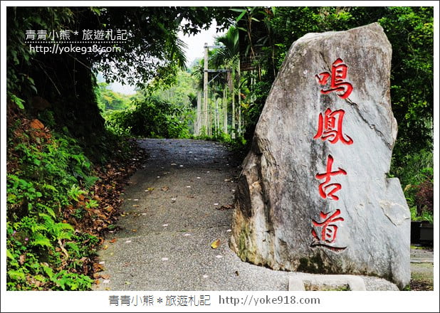 苗栗賞桐景點》客家桐花祭.必玩景點推薦~雪白一片超迷人 @青青小熊*旅遊札記 苗栗賞桐景點》客家桐花祭.必玩景點推薦~雪白一片超迷人 @青青小熊*旅遊札記
