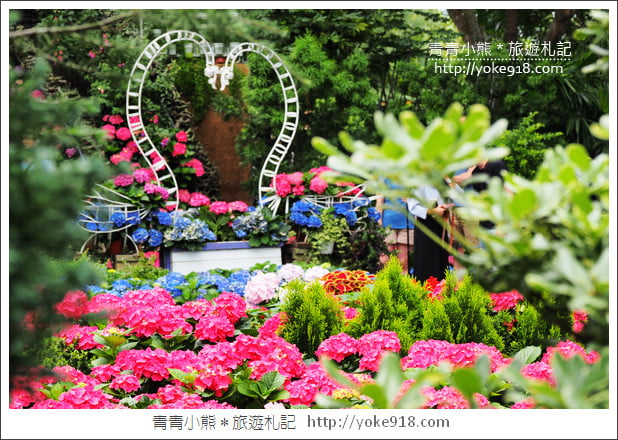 苗栗賞桐景點》客家桐花祭.必玩景點推薦~雪白一片超迷人 @青青小熊*旅遊札記 苗栗賞桐景點》客家桐花祭.必玩景點推薦~雪白一片超迷人 @青青小熊*旅遊札記