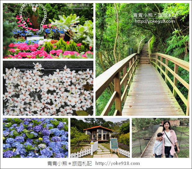 苗栗賞桐景點》客家桐花祭.必玩景點推薦~雪白一片超迷人 @青青小熊*旅遊札記 苗栗賞桐景點》客家桐花祭.必玩景點推薦~雪白一片超迷人 @青青小熊*旅遊札記