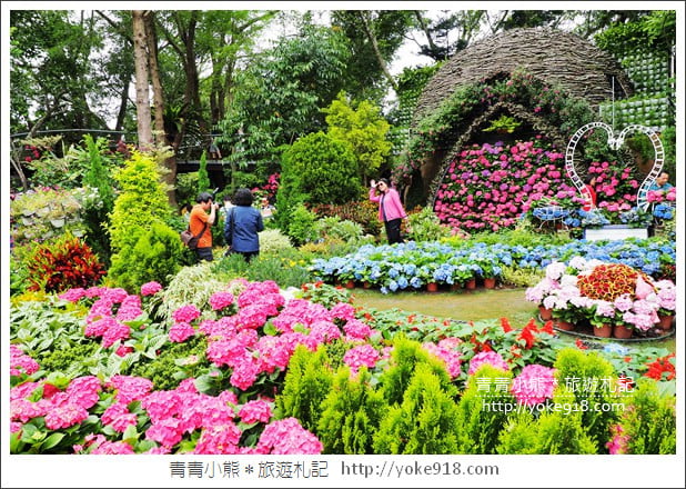 苗栗景點》卓蘭花露休閒農場.超美的繡球花美麗綻放~一起約會去 @青青小熊*旅遊札記 苗栗景點》卓蘭花露休閒農場.超美的繡球花美麗綻放~一起約會去 @青青小熊*旅遊札記