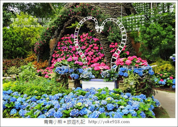 苗栗景點》卓蘭花露休閒農場.超美的繡球花美麗綻放~一起約會去 @青青小熊*旅遊札記 苗栗景點》卓蘭花露休閒農場.超美的繡球花美麗綻放~一起約會去 @青青小熊*旅遊札記