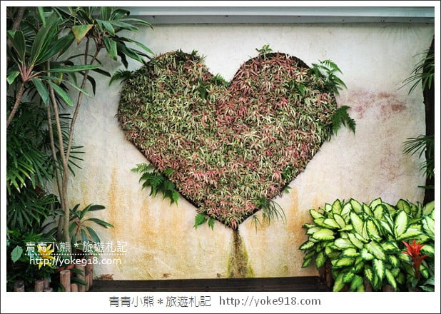 苗栗景點》卓蘭花露休閒農場.超美的繡球花美麗綻放~一起約會去 @青青小熊*旅遊札記 苗栗景點》卓蘭花露休閒農場.超美的繡球花美麗綻放~一起約會去 @青青小熊*旅遊札記